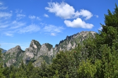 A0100