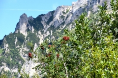 A0101